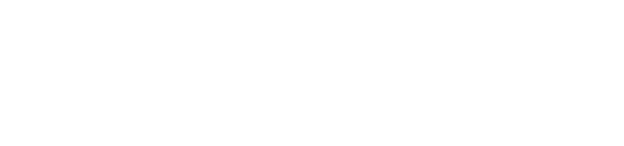 CleanNL