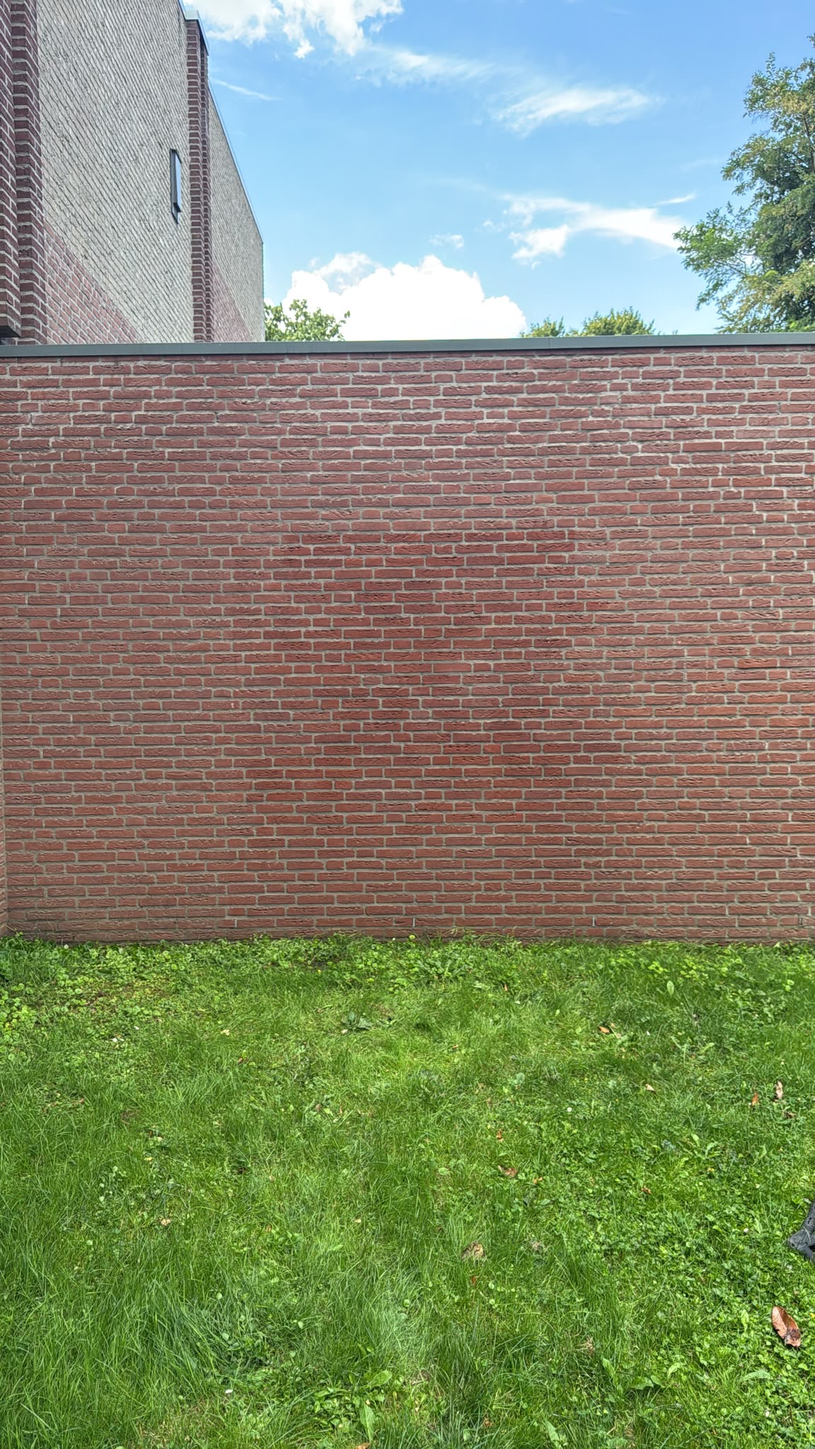 Schone bakstenen muur van sportgebouw in Almelo, na graffitiverwijdering door CleanNL