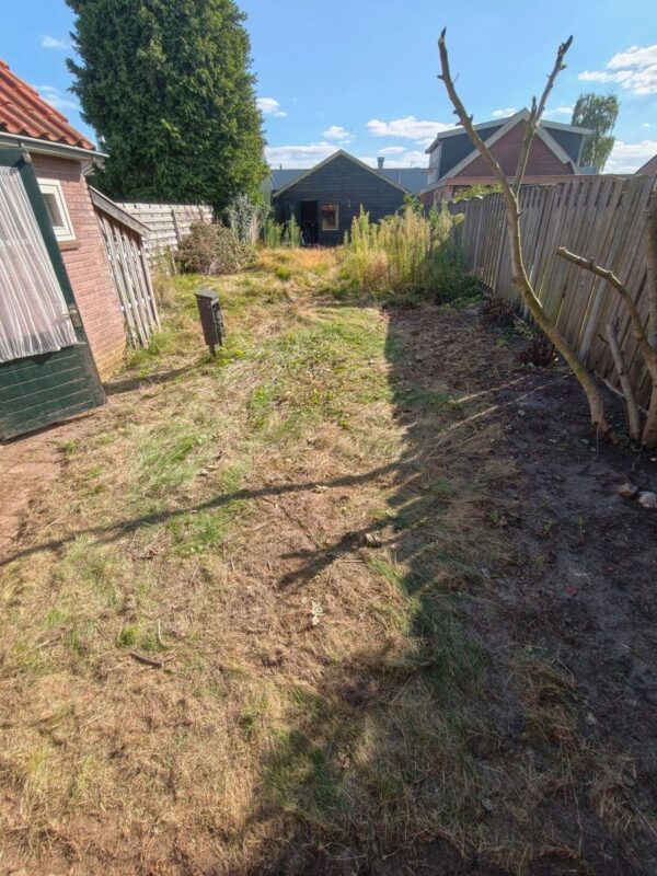 Tuin in Almelo vóór het tuinonderhoud door CleanNL, gezien vanaf het terras — hoog opgeschoten gras tot aan het tuinhuis